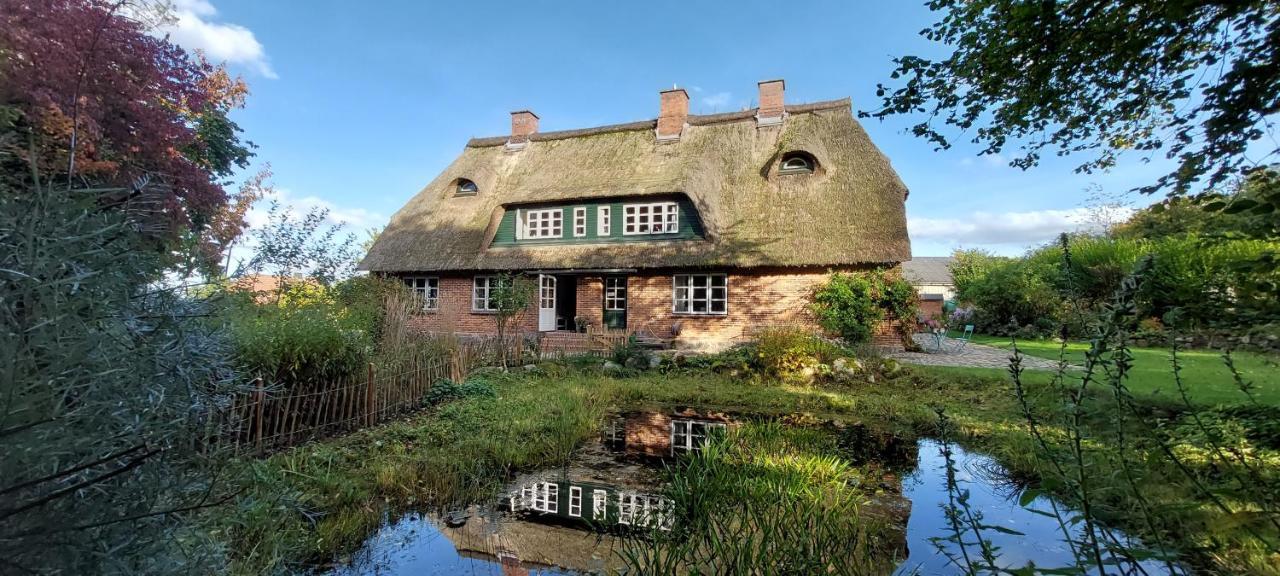 "Haus Auf Dem Berg" Daire Westensee Dış mekan fotoğraf